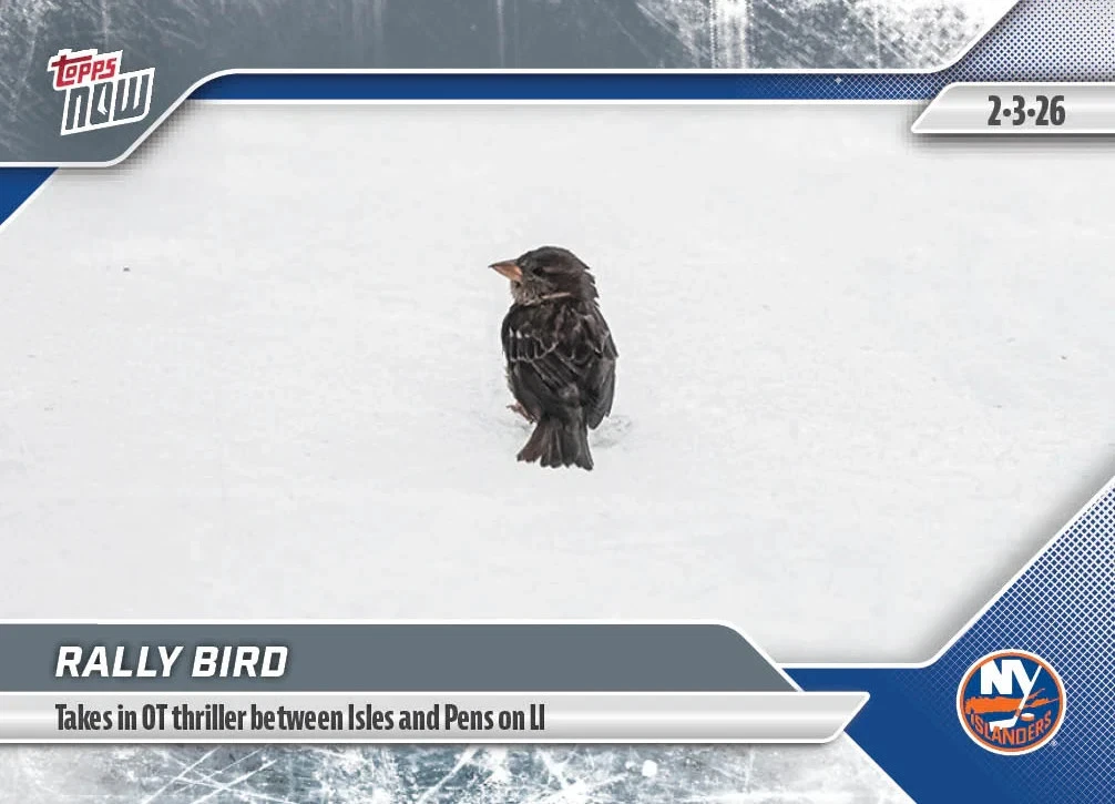 Animals & Oddball Items #106 Rally Bird